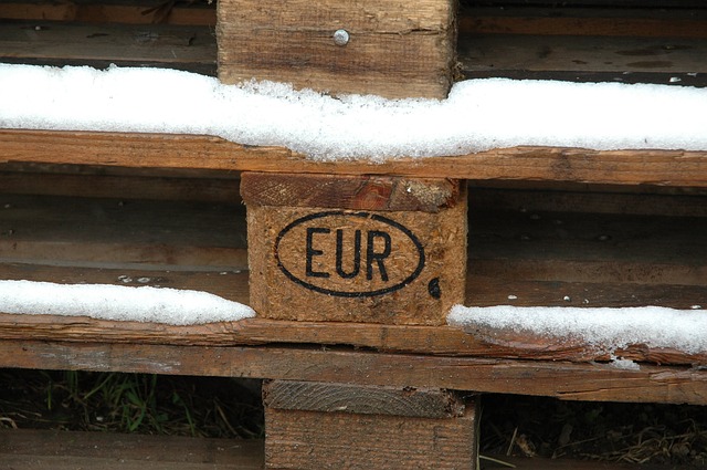 detail zasněžené EURO palety